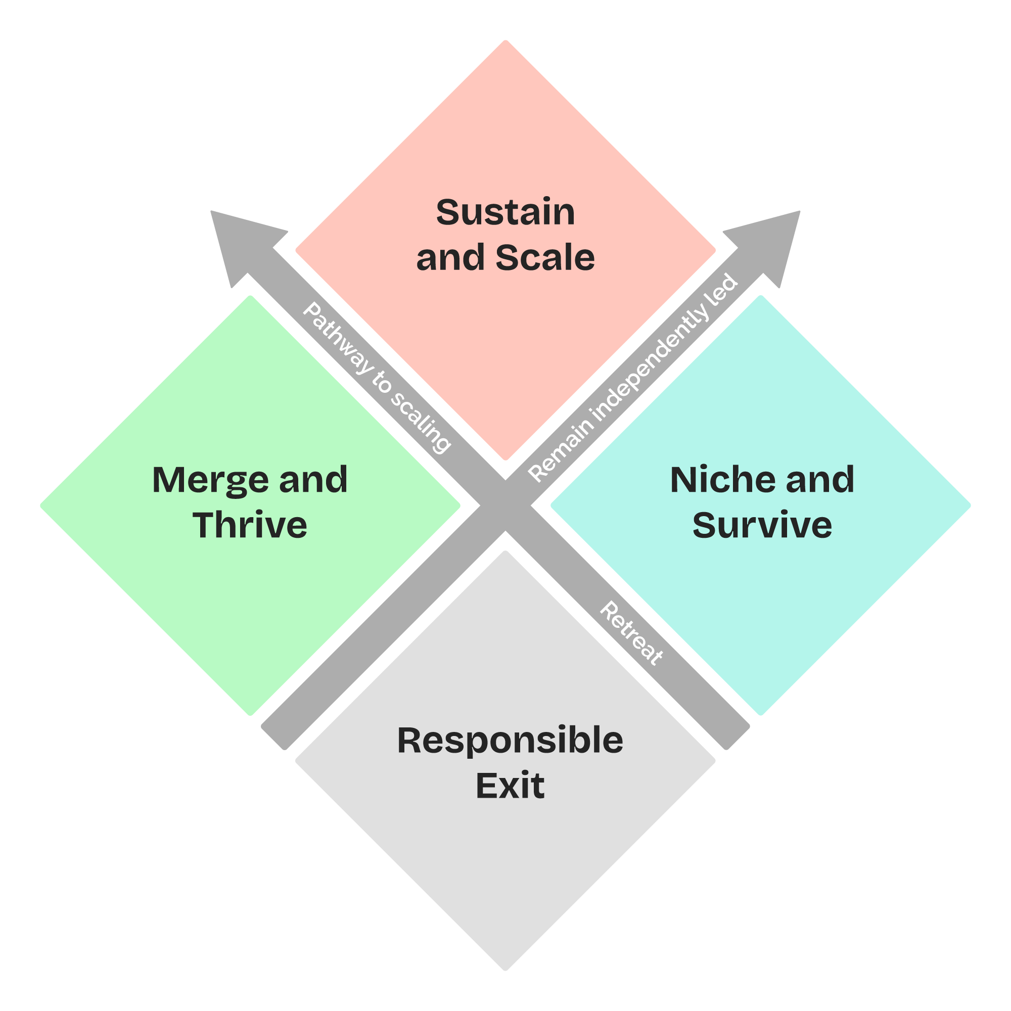 Diagram of the Pivot Model: four paths arranged in a quadrant, Sustain and Scale, Merge and Thrive, Niche and Survive, and Responsible Exit, with arrows showing pathways to scaling, remaining independently led, or retreat