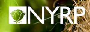 NYRP Logo